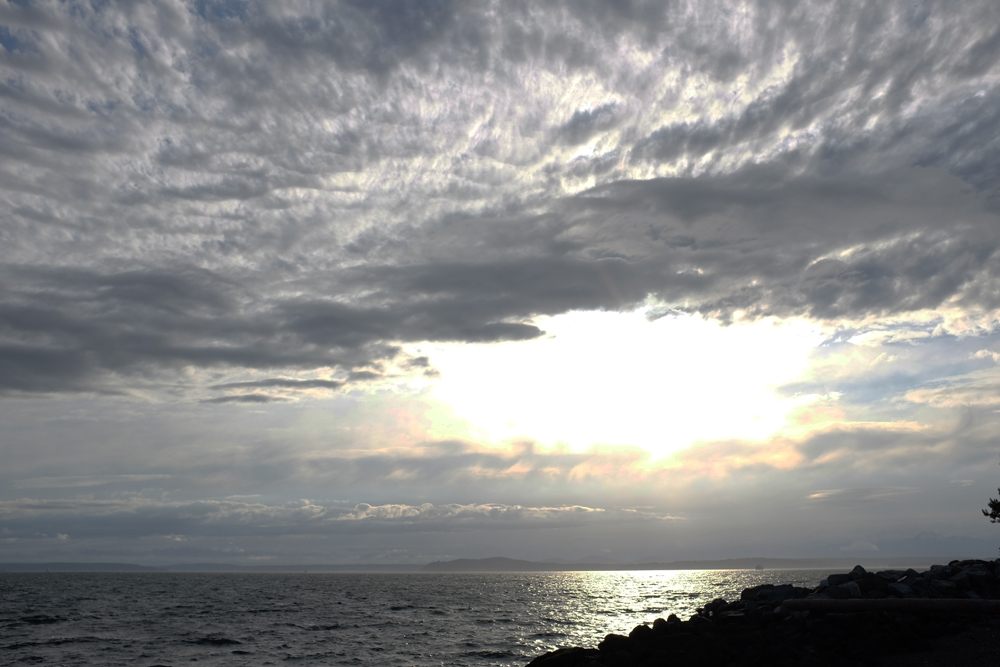 View from Myrtle Edwards Park