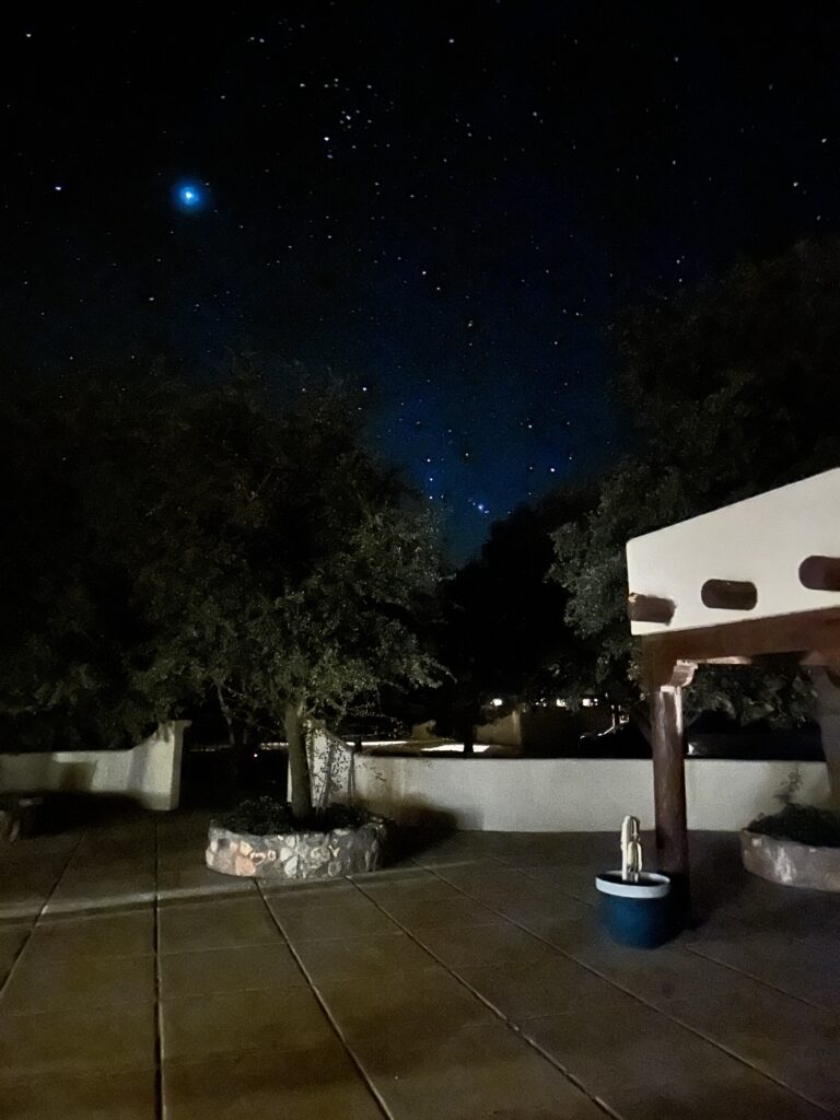 A slightly fuzzy longer exposure of the night sky with dozens and dozens of stars, over some tress and a patio