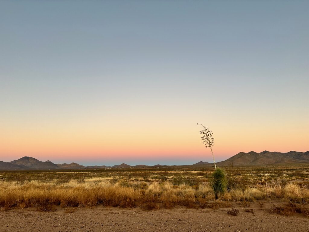 The desert at sunset, sky all blue to pink to gold, mountains on the horizon, scrubby plants in the foreground